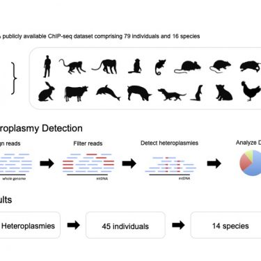 Experimental workflow from Rensch et al 2016