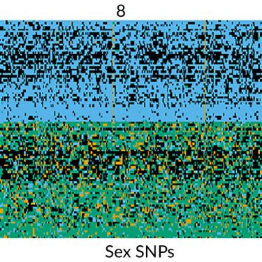 Figure 2 from 2020 paper