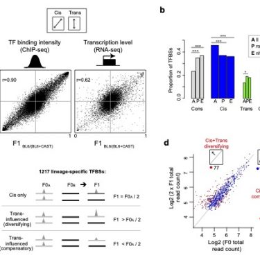 Integrated results from Wong et al 2017
