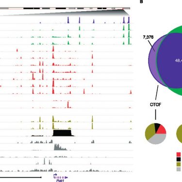 Figure 1 from Faure, et al. 2012